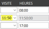 Champ de choix et à compléter d’heure de visite