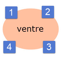 Ventre 4 quadrants